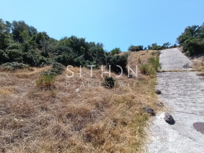 Οικόπεδο 500 τ.μ. προς πώληση, Σκάλα Συκέας