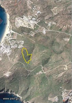 Αγροτεμάχια 21.000τ.μ. για πώληση-Μύκονος » Ελιά