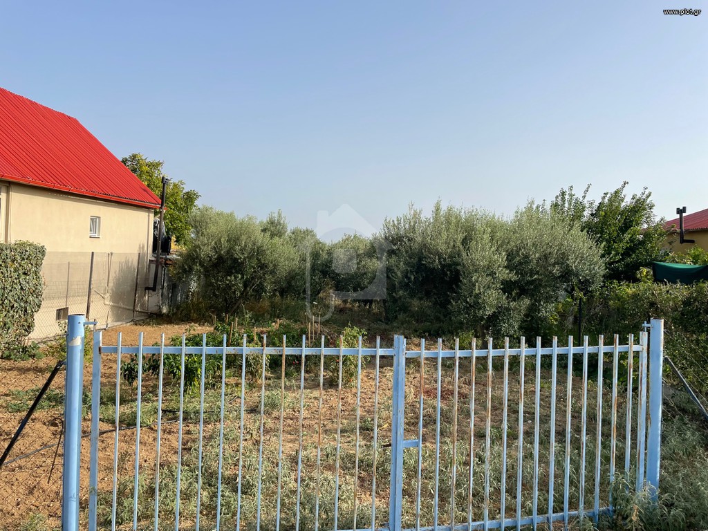 Αγροτεμάχια 350 τ.μ. προς πώληση, Νέα Σίλατα