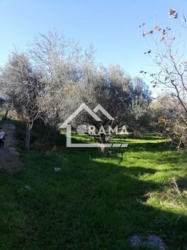 Parcel 6.400sqm for sale-Patra » Charadro