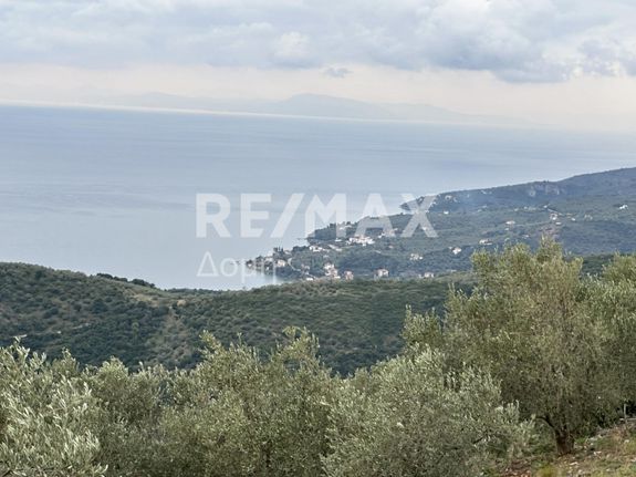 Αγροτεμάχια 4.200 τ.μ. για πώληση, Μαγνησία, Σηπιάδα