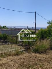 Οικόπεδο 1.188 τ.μ. πρός πώληση, Αχαΐα, Παραλία-thumb-6