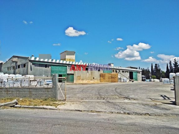 Warehouse 1.135 sqm for sale, Thessaloniki - Suburbs, Echedoros