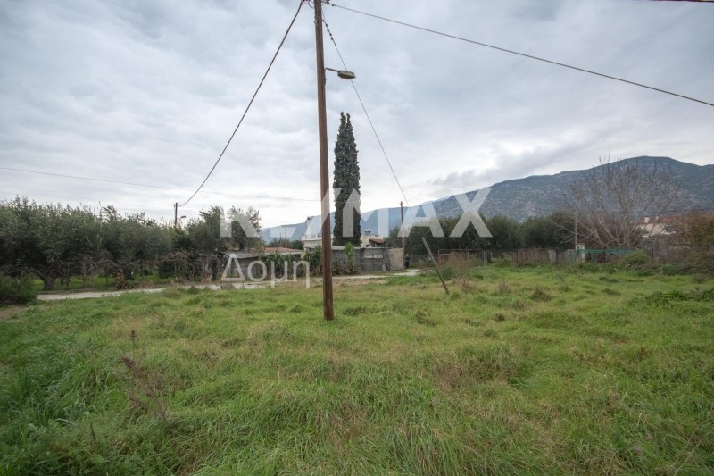 Οικόπεδο 600 τ.μ. πρός πώληση, Μαγνησία, Αγριά