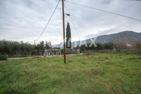 Land plot 600sqm for sale-Agria » Center