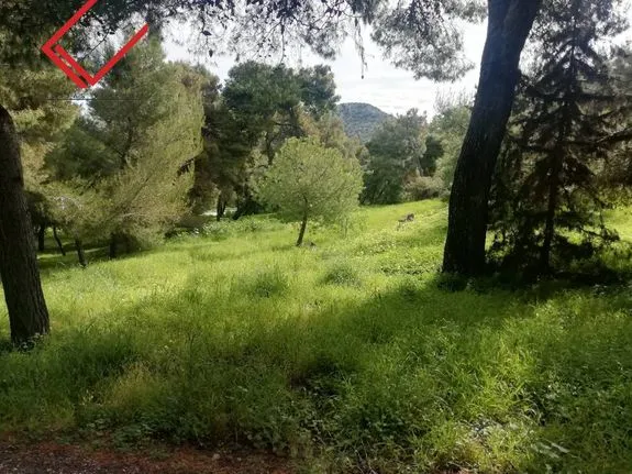 Land plot 620 sqm for sale, Athens - South, Voula