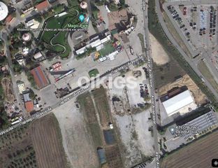 Αγροτεμάχια 1.500 τ.μ. για ενοικίαση