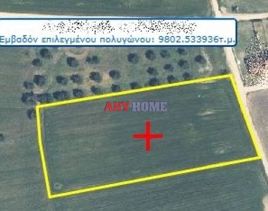 Αγροτεμάχια 9.802 τ.μ. για πώληση, Χαλκιδική, Κασσάνδρα