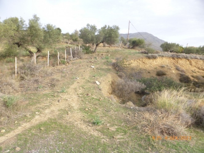 Μονοκατοικία 0 τ.μ. πρός πώληση, Φωκίδα, Τολοφώνα