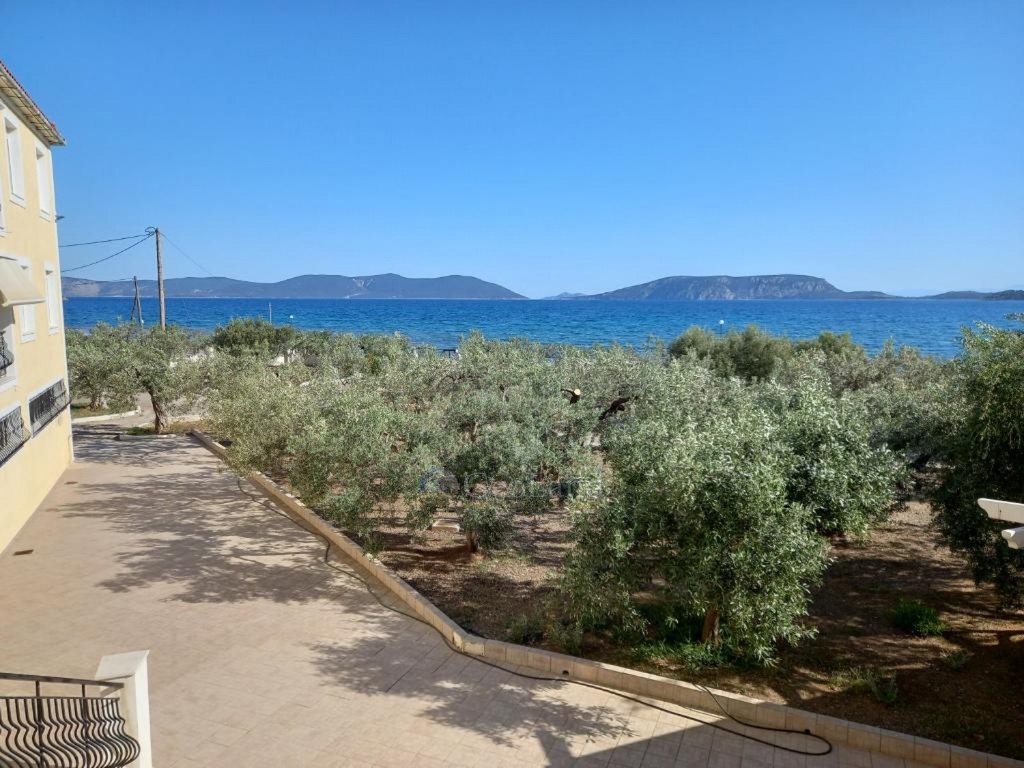 Ξενοδοχείο 1.300 τ.μ. προς πώληση, Αχλαδίτσα