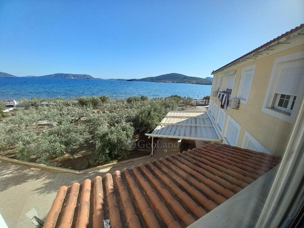 Ξενοδοχείο 1.300 τ.μ. προς πώληση, Αχλαδίτσα