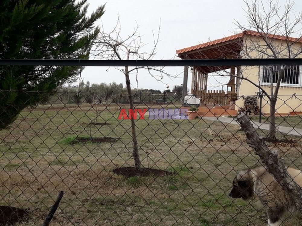 Μονοκατοικία 75 τ.μ. προς ενοικίαση, Μονοπήγαδο
