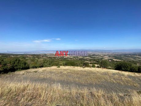 Land plot 13.300sqm for sale-Kallindoia » Sarakina