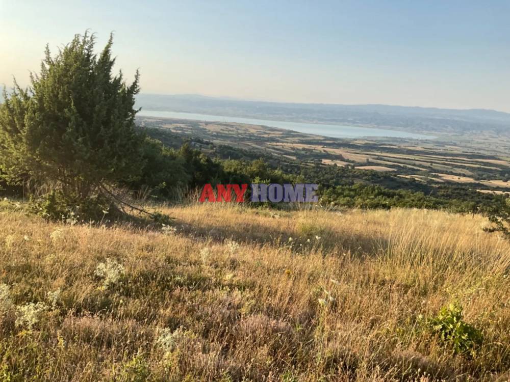 Οικόπεδο 13.300 τ.μ. προς πώληση, Σαρακήνα Καλλίνδοιας