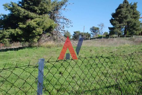 Land plot 1.668sqm for sale-Stamata » Center