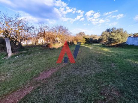 Οικόπεδο 696τ.μ. για πώληση-Κηφισιά » Αδάμες (οικισμός γράμμος - φοίνικας)