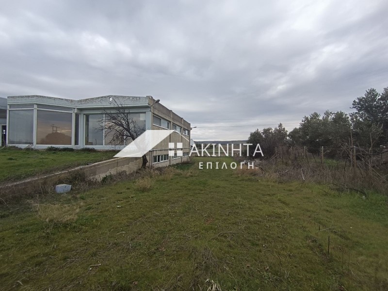 Κατάστημα 500 τ.μ. προς ενοικίαση, Έβρος, Αλεξανδρούπολη