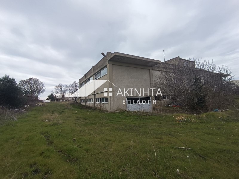Κατάστημα 500 τ.μ. προς ενοικίαση, Έβρος, Αλεξανδρούπολη