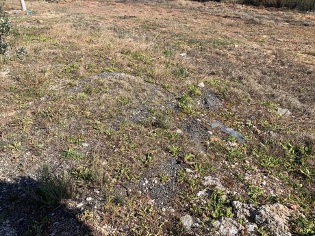 Land plot 220 sqm for sale