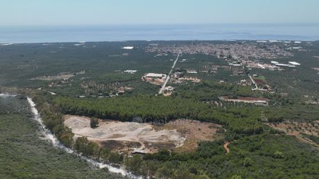 Αγροτεμάχια 24.080τ.μ. για πώληση-Φιλιατρά » Αγία κυριακή