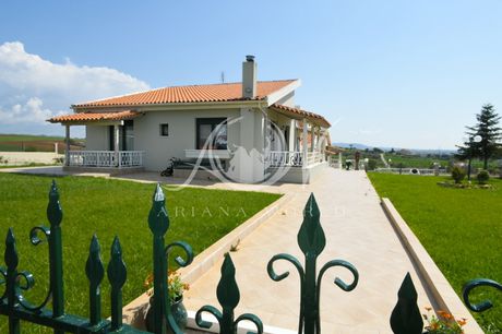 Detached home 268sqm for sale-Alexandroupoli » Apalos