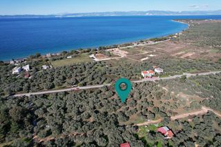 Αγροτεμάχια 4.100 τ.μ. προς πώληση, Σκάλα Σωτήρος-thumb-2