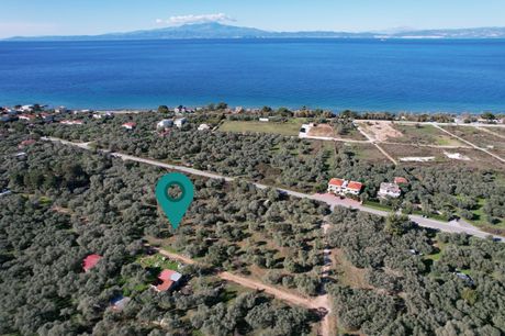 Αγροτεμάχια 4.100τ.μ. για πώληση-Θάσος » Σκάλα σωτήρος