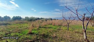Οικόπεδο 5.100 τ.μ. για πώληση, Ν. Ροδόπης, Κομοτηνή-thumb-5