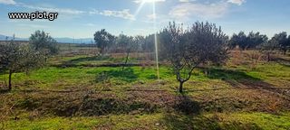 Οικόπεδο 5.100 τ.μ. για πώληση, Ν. Ροδόπης, Κομοτηνή-thumb-7