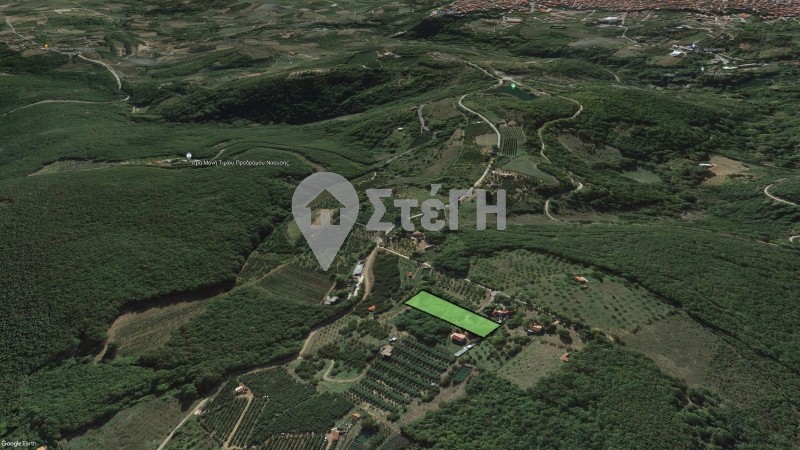 Αγροτεμάχια 4.133 τ.μ. προς πώληση, Γιαννακοχώρι