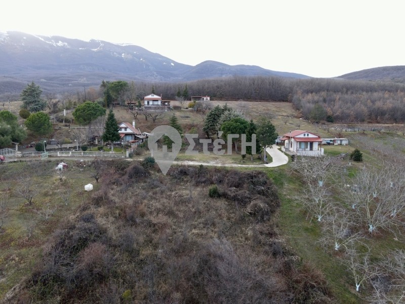 Αγροτεμάχια 4.133 τ.μ. προς πώληση, Γιαννακοχώρι