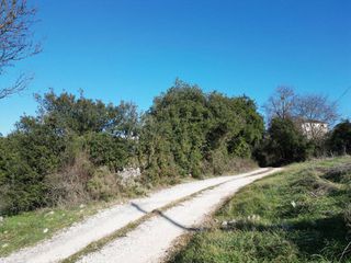 Οικόπεδο 1.063 τ.μ. για πώληση, Ν. Ιωαννίνων, Πασσαρώνα-thumb-12