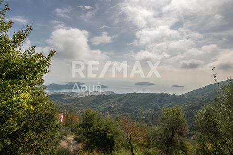 Parcel 3.109sqm for sale-Skiathos » Moni Evaggelistrias