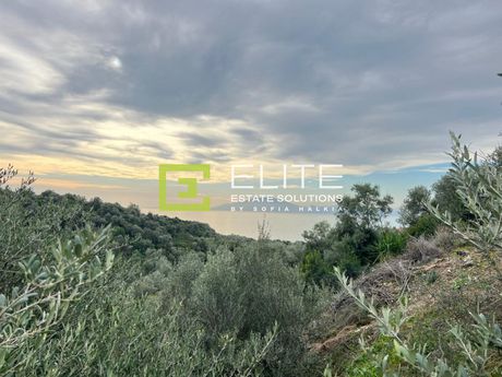 Οικόπεδο 319τ.μ. για πώληση-Νέα αγχίαλος » Μάραθος