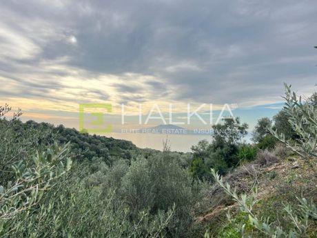 Land plot 319 sqm for sale