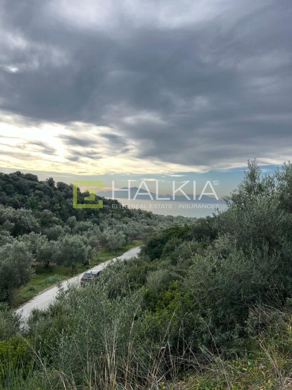 Οικόπεδο 319 τ.μ. πρός πώληση, Μαγνησία, Νέα Αγχίαλος