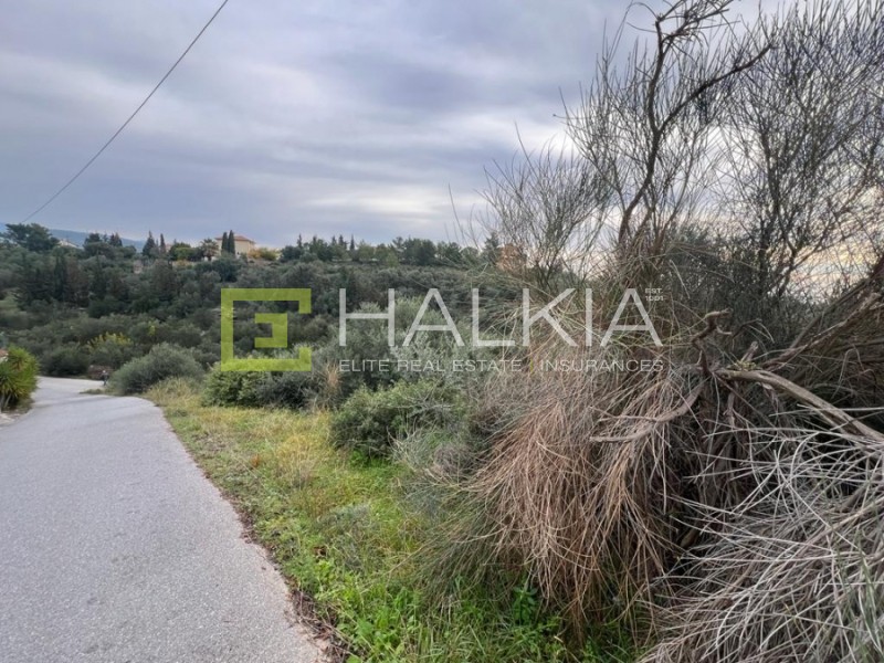 Οικόπεδο 319 τ.μ. πρός πώληση, Μαγνησία, Νέα Αγχίαλος
