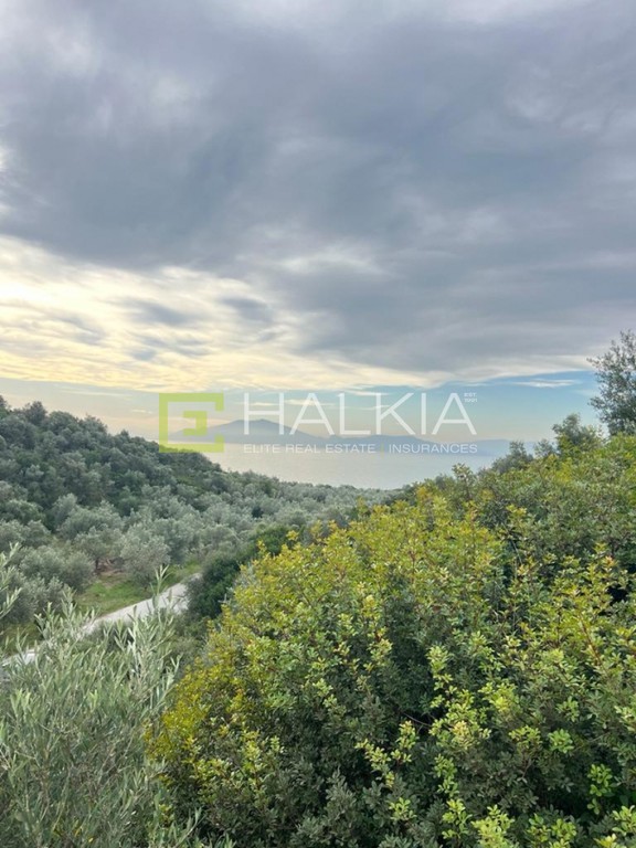 Οικόπεδο 319 τ.μ. πρός πώληση, Μαγνησία, Νέα Αγχίαλος