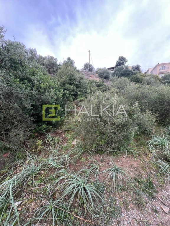 Οικόπεδο 319 τ.μ. πρός πώληση, Μαγνησία, Νέα Αγχίαλος