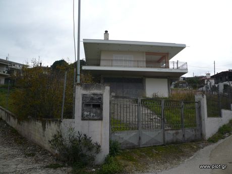 Μεζονέτα 190τ.μ. για πώληση-Εχιναίων » Ράχες