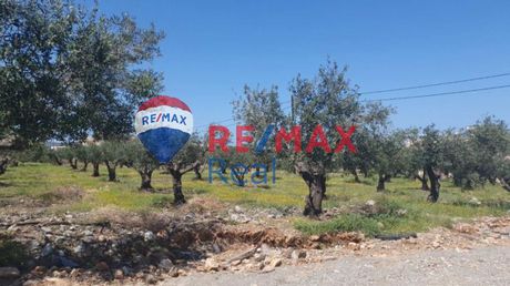 Οικόπεδο 6.000τ.μ. για πώληση-Μάλλια » Μάλια