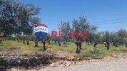 Land plot 6.000sqm for sale-Mallia » Malia