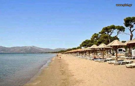 Οικόπεδο 800τ.μ. για πώληση-Κ. σκάλας ωρωπού » Σκάλα ωρωπού