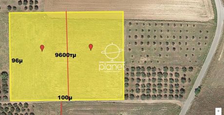 Parcel 9.600sqm for sale-Kallikrateia » Lakkoma