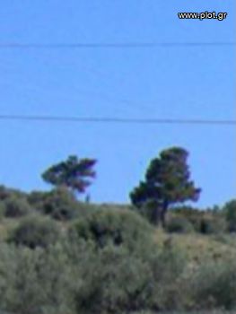 Οικόπεδο 3.270 τ.μ. για πώληση