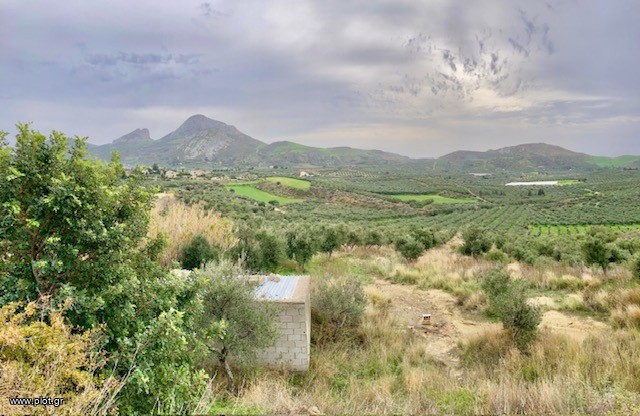 Οικόπεδο 17.000 τ.μ. πρός πώληση, Ν. Ρεθύμνου, Φοινίκας