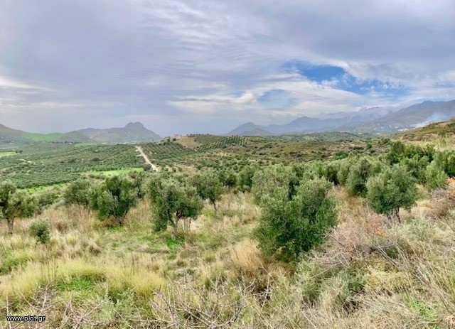 Οικόπεδο 17.000 τ.μ. πρός πώληση, Ν. Ρεθύμνου, Φοινίκας