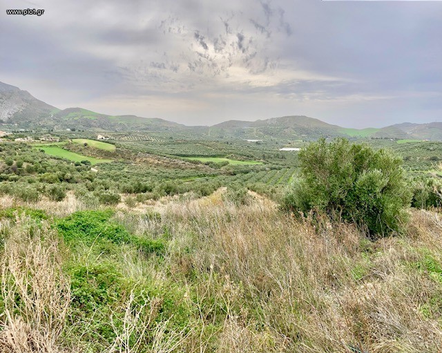 Οικόπεδο 17.000 τ.μ. πρός πώληση, Ν. Ρεθύμνου, Φοινίκας