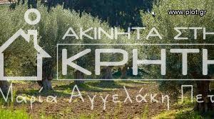 Land plot 4.000sqm for sale-Ierapetra