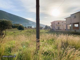 Οικόπεδο 1.272 τ.μ. για πώληση, Αργολίδα, Κρανίδι-thumb-22